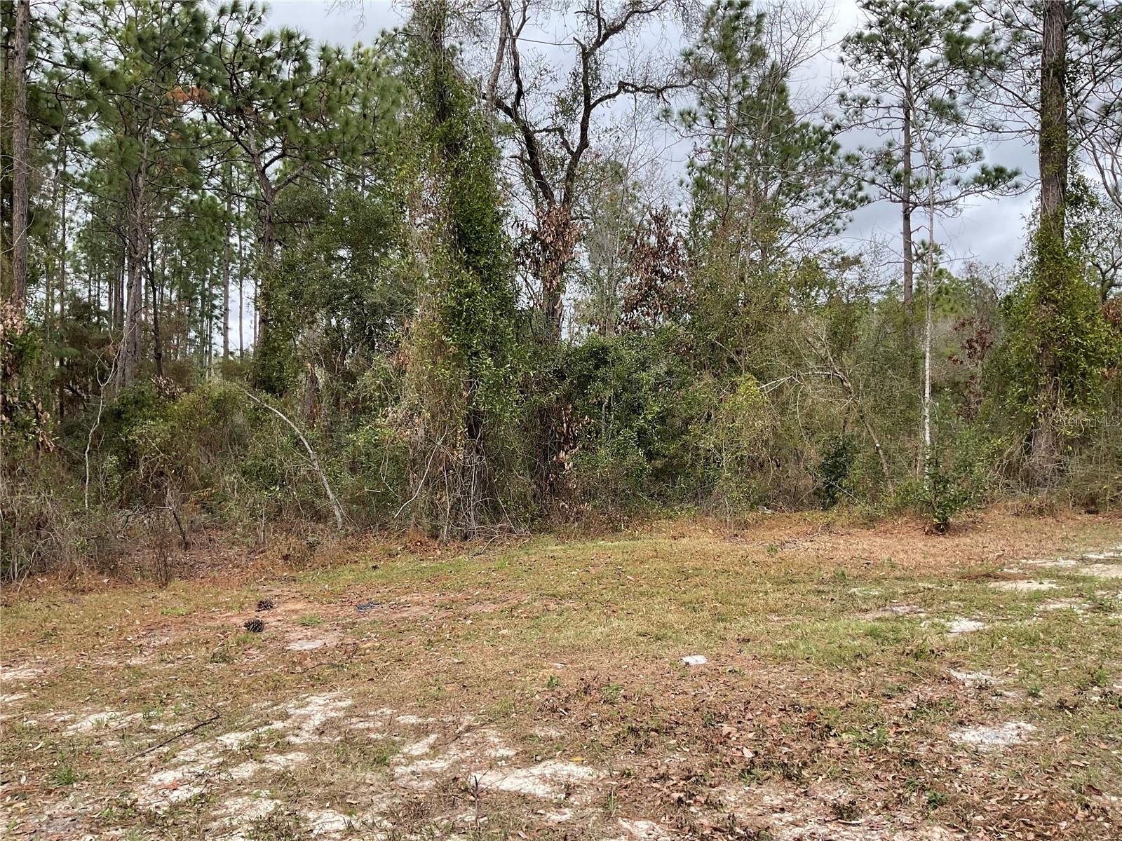 WILLISTON HIGHLANDS UNIT 12 - Residential