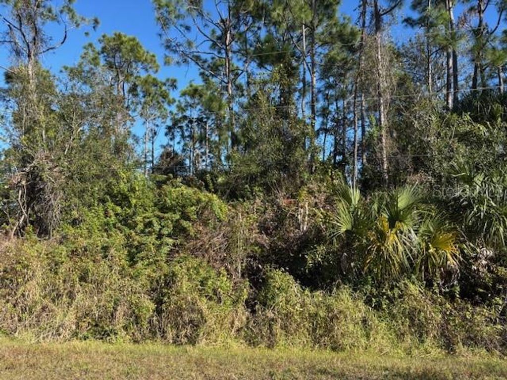 Photo of 13636 Sulky Drive, Punta Gorda, FL 33955 (MLS # C7520486)