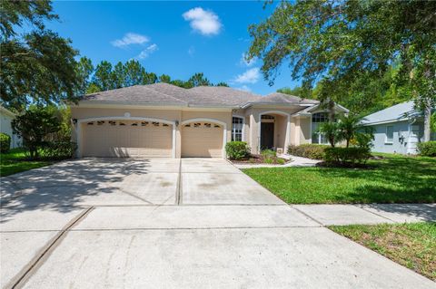 6120 CEZANNE AVENUE LUTZ FL 33558