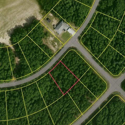 SE FISCHER LANE DRIVE OCKLAWAHA FL 32179