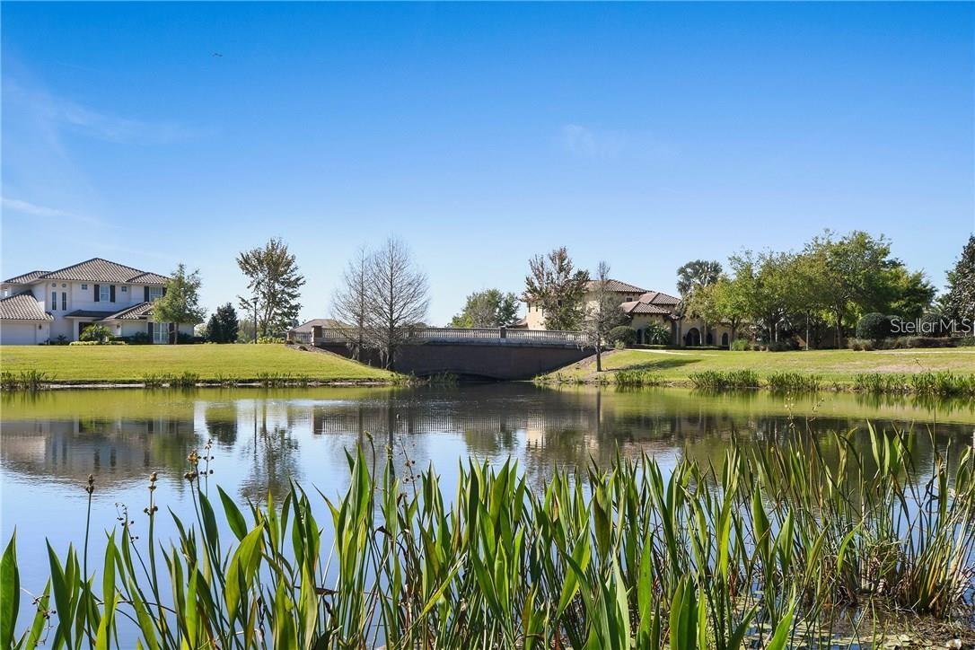 11419 CAMDEN PARK DRIVE