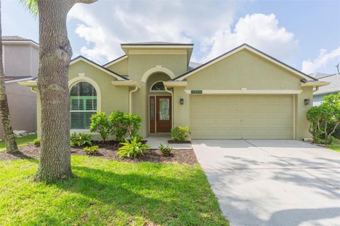 12204 COLDSTREAM LANE TAMPA FL 33626
