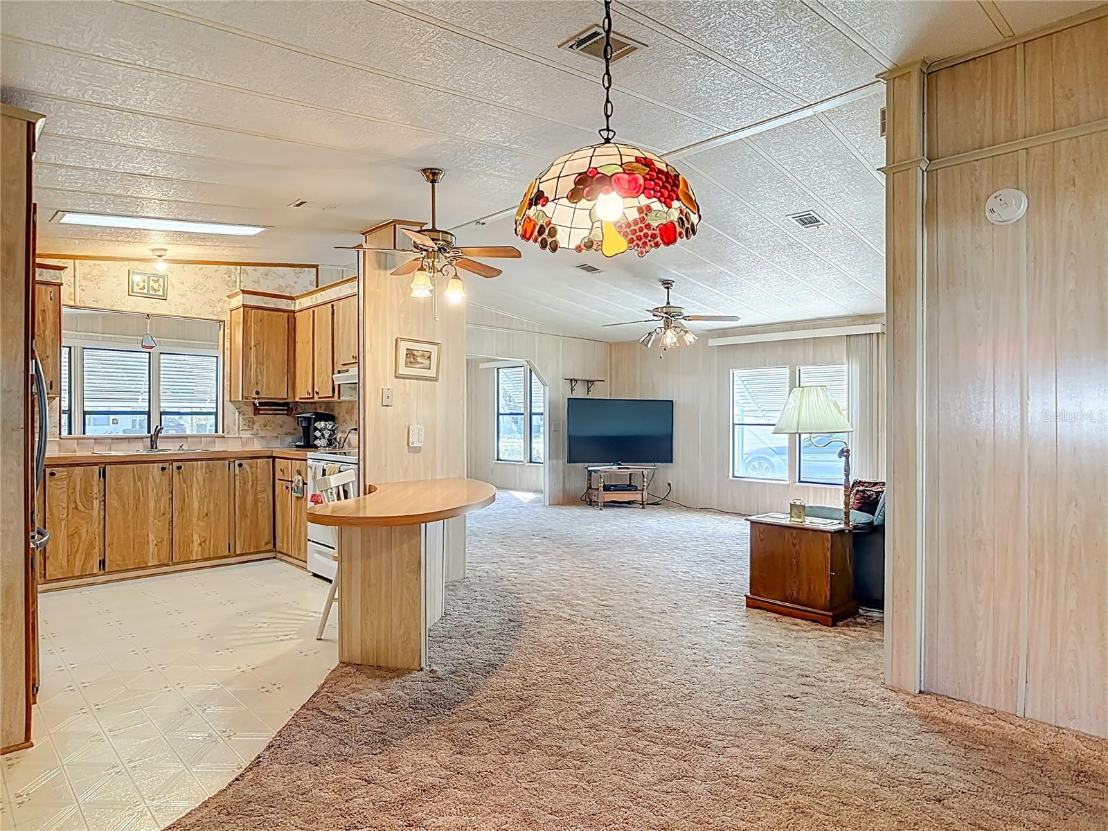 TAVARES LAKE FRANCES ESTATES - Residential