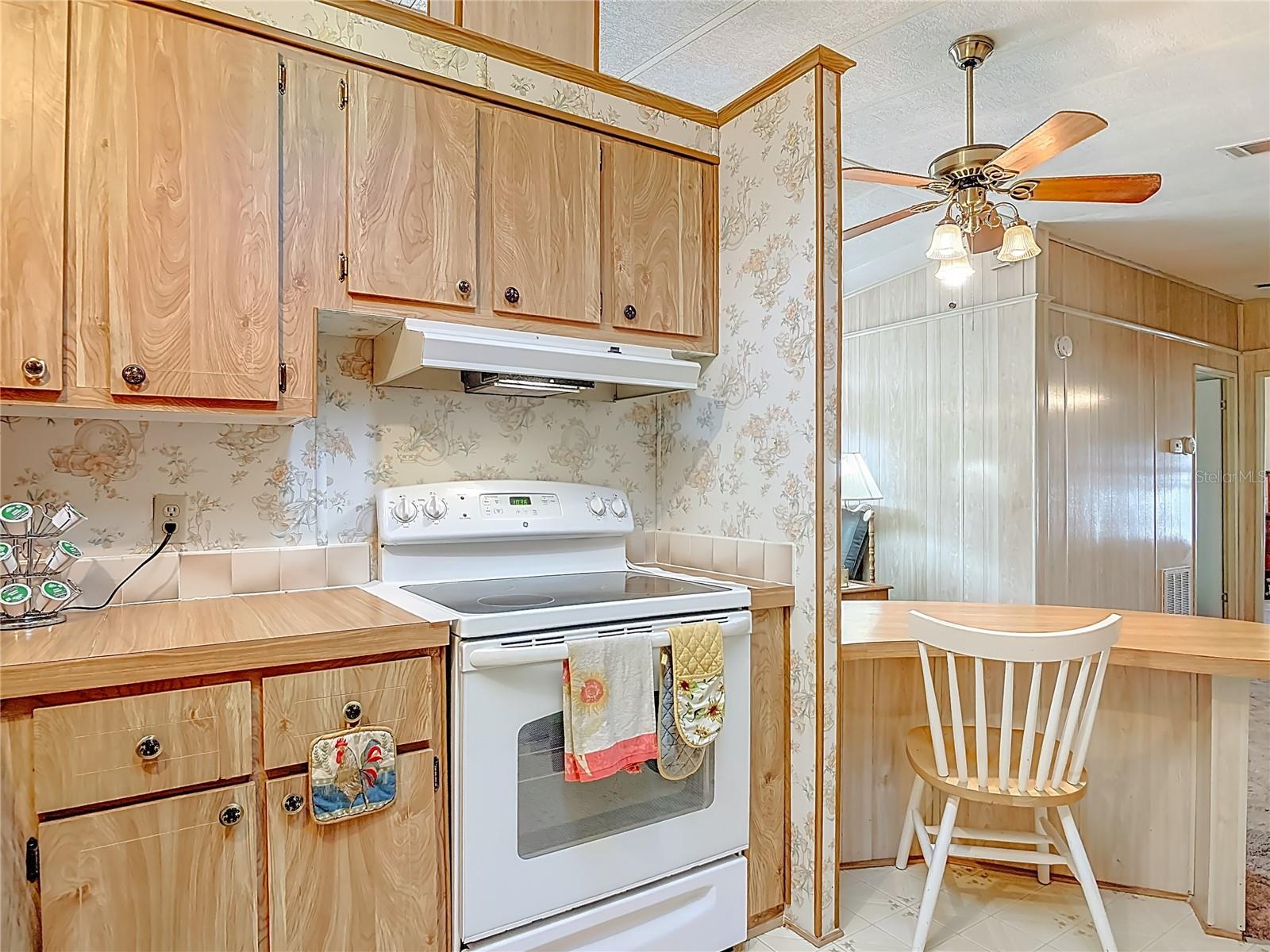 TAVARES LAKE FRANCES ESTATES - Residential