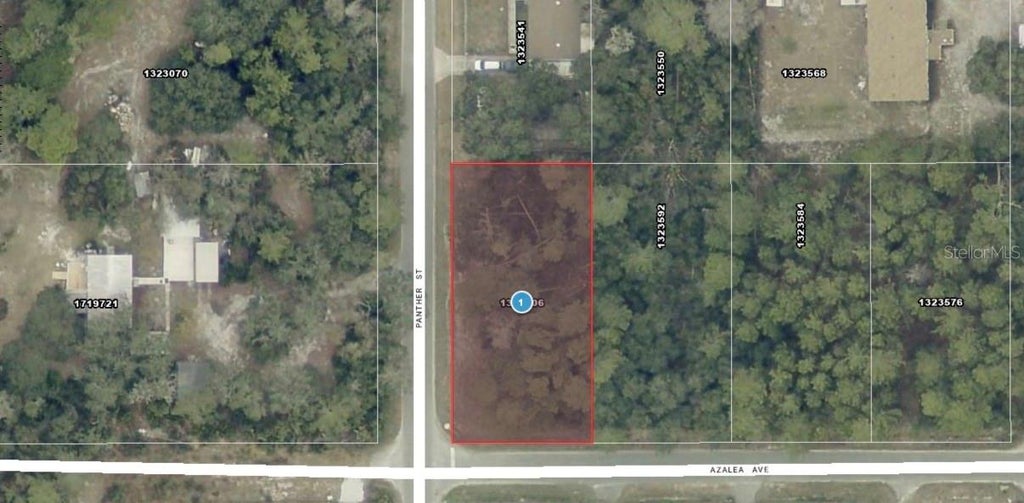 Photo of Azalea Avenue, Paisley, FL 32767 (MLS # A4709477)