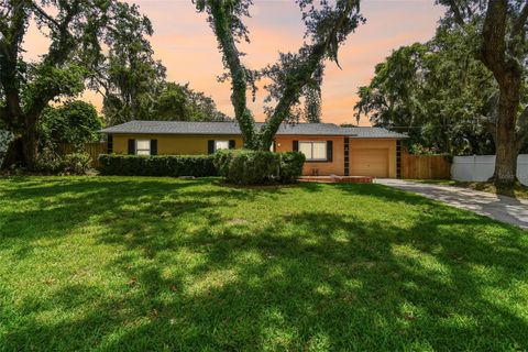 A home in RIVERVIEW