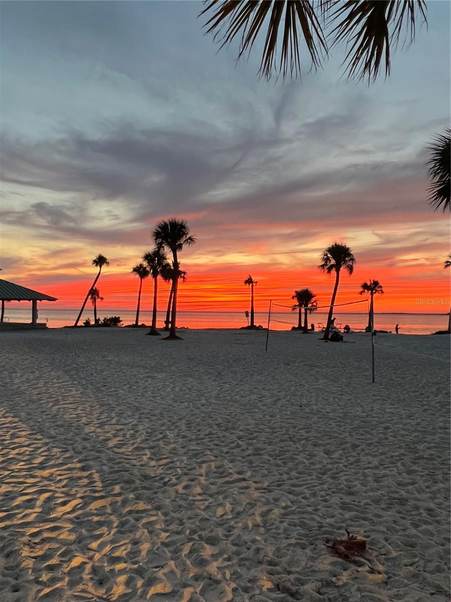 TAMPA & TARPON SPGS LAND CO - Residential