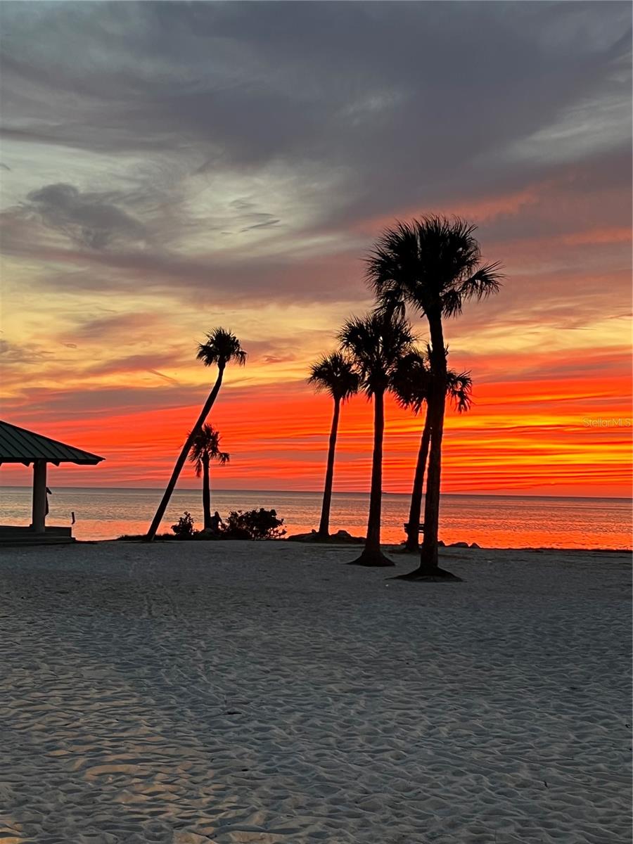 TAMPA & TARPON SPGS LAND CO - Residential