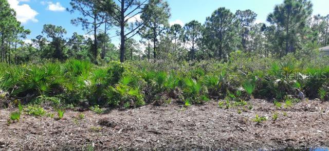 Photo of 12038 Iris Street, Punta Gorda, FL 33955 (MLS # TB8560552)