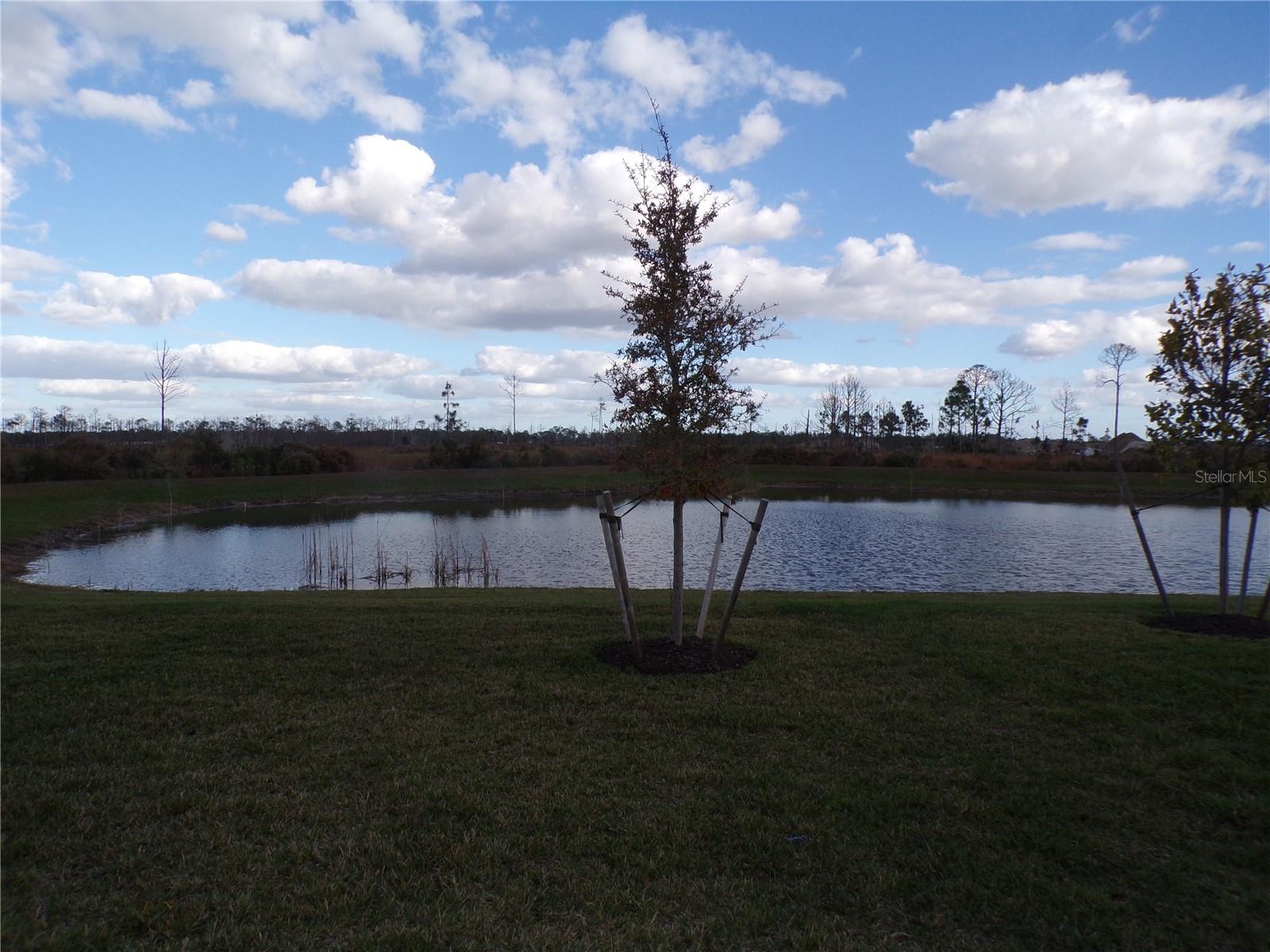 TUCKERS POINTE PH 1 - Residential Lease