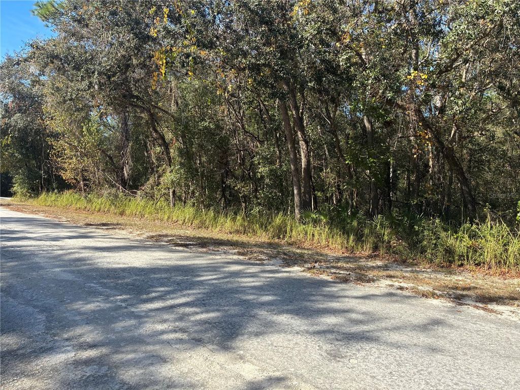 Photo of Arrowrock Street, Webster, FL 33597 (MLS # G5104346)