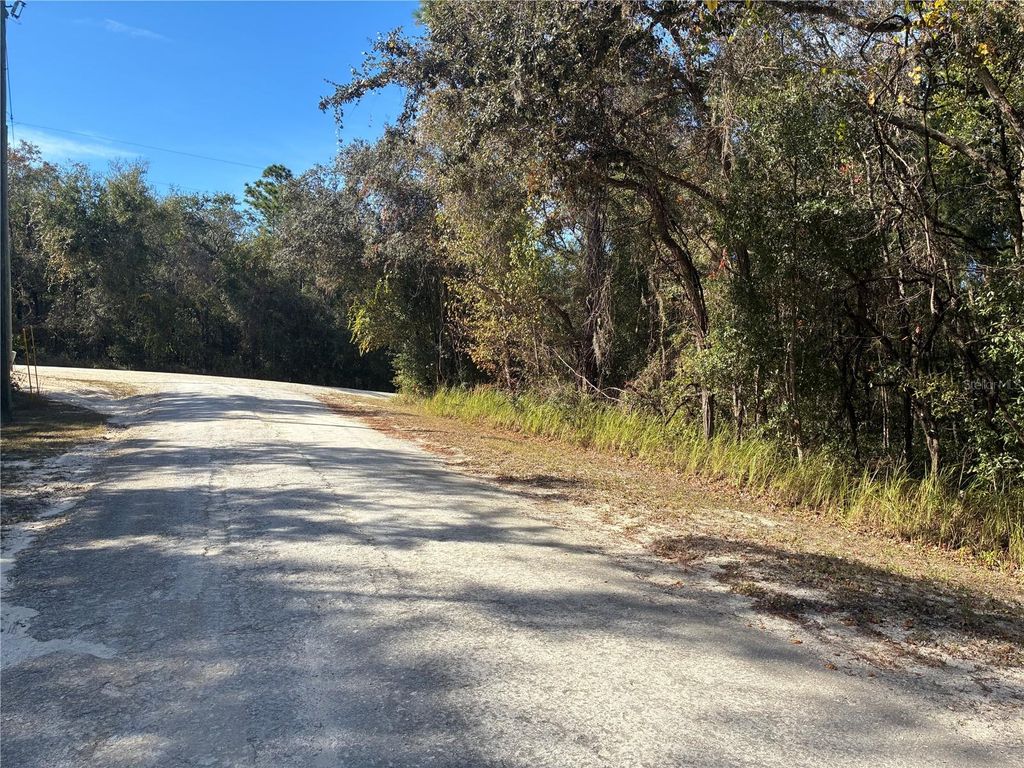Photo of Arrowrock Street, Webster, FL 33597 (MLS # G5104346)