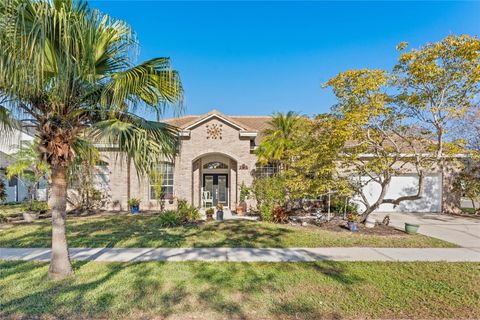 A home in ORLANDO