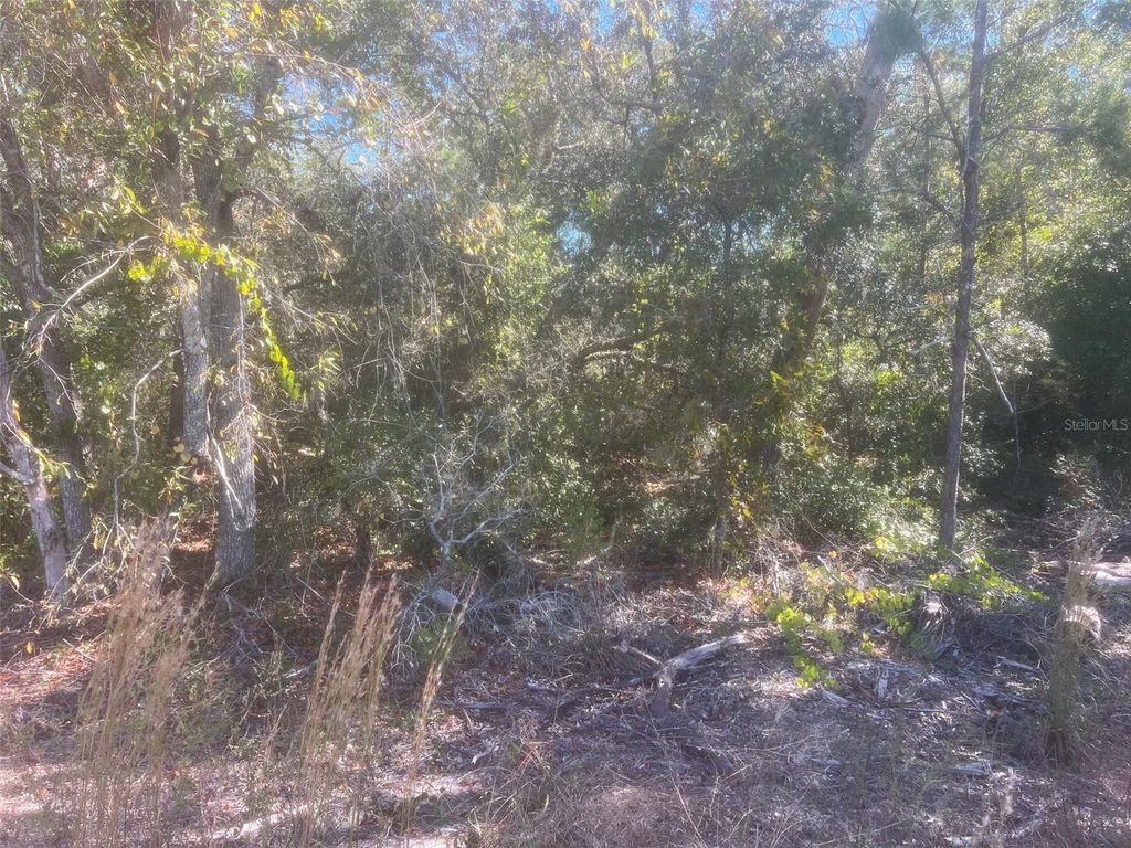 Photo of Bay Road, Ocklawaha, FL 32179 (MLS # OM713606)