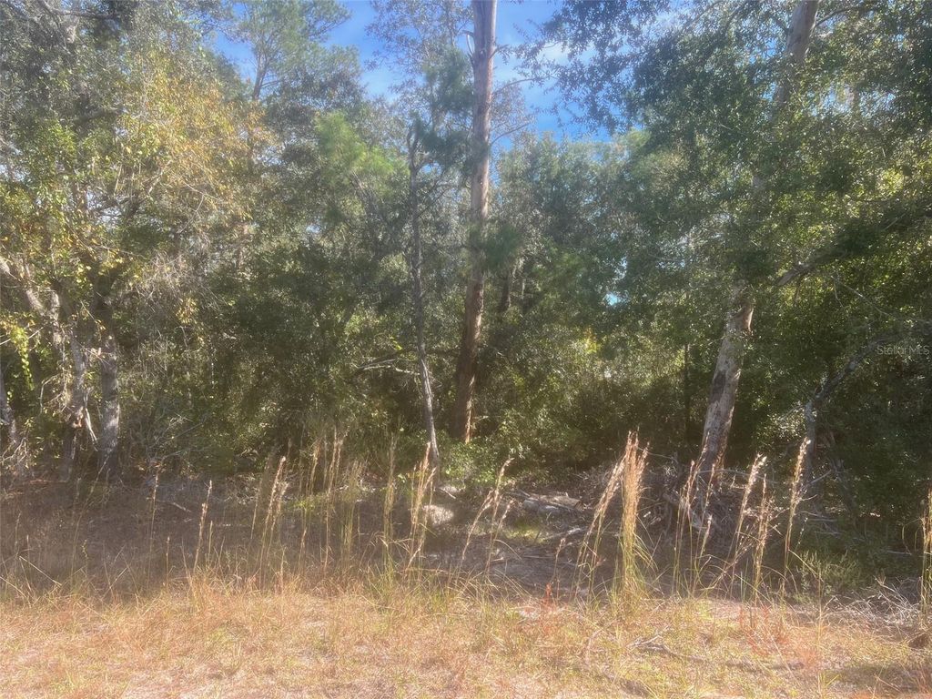 Photo of Bay Road, Ocklawaha, FL 32179 (MLS # OM713606)