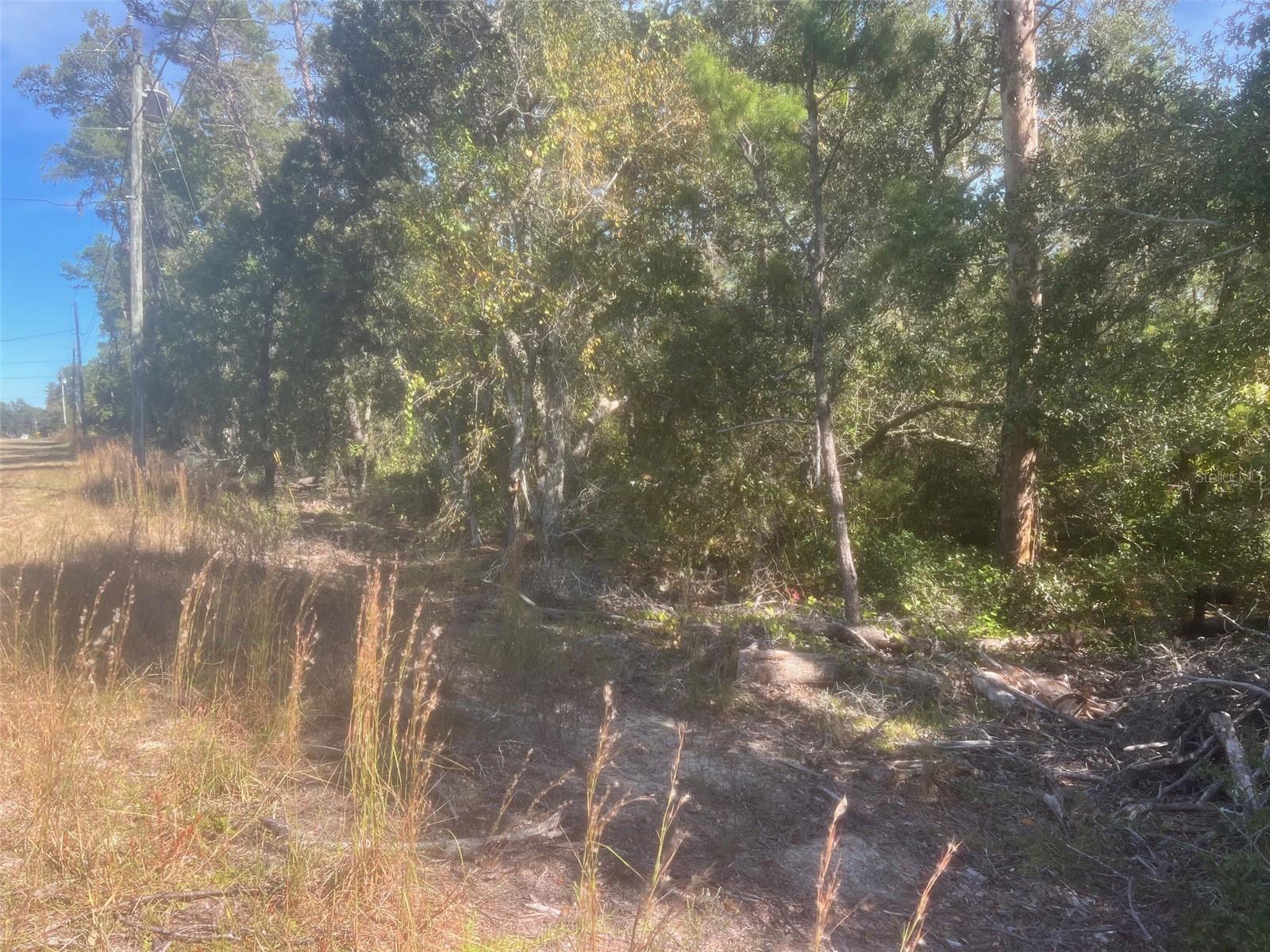 SILVER SPGS SHORES UN #38 - Land