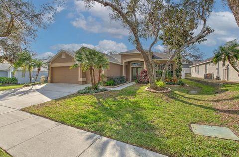 Photo of 11147 Bridgecreek Drive, Riverview, FL 33569 (MLS # TB8346988)