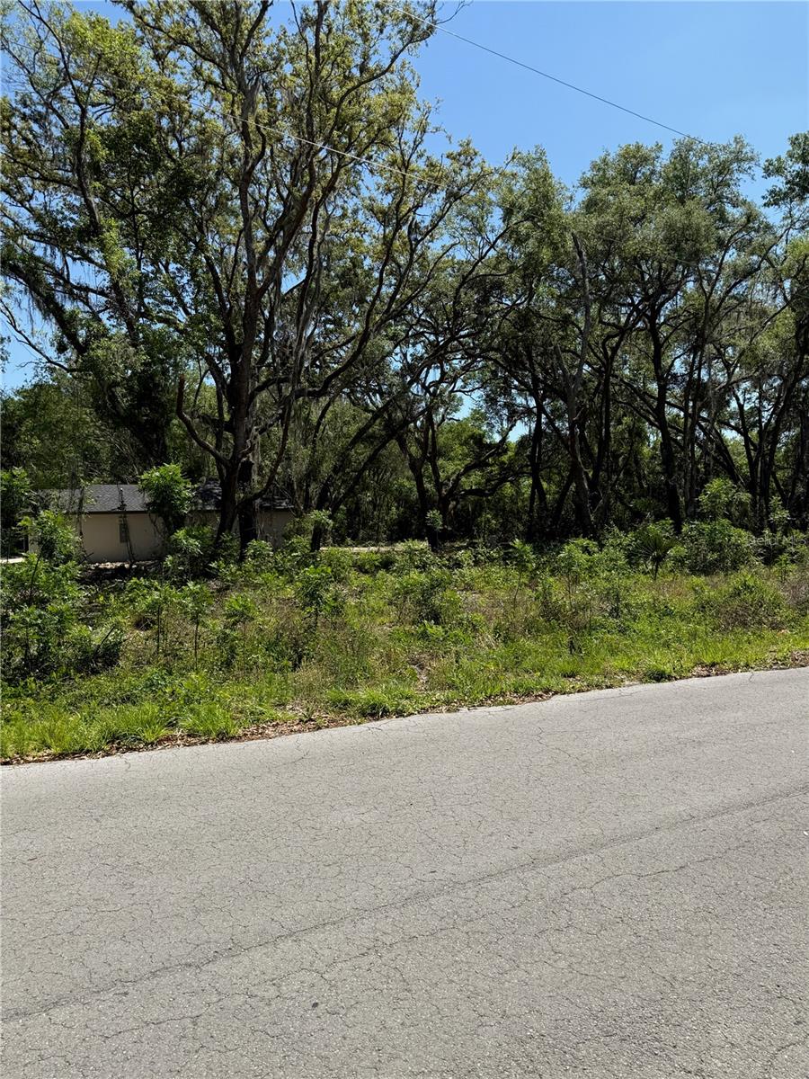 TBD LOCUST DRIVE TRAIL