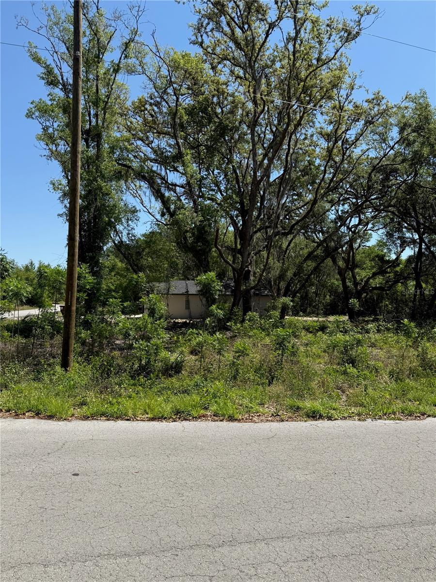 TBD LOCUST DRIVE TRAIL