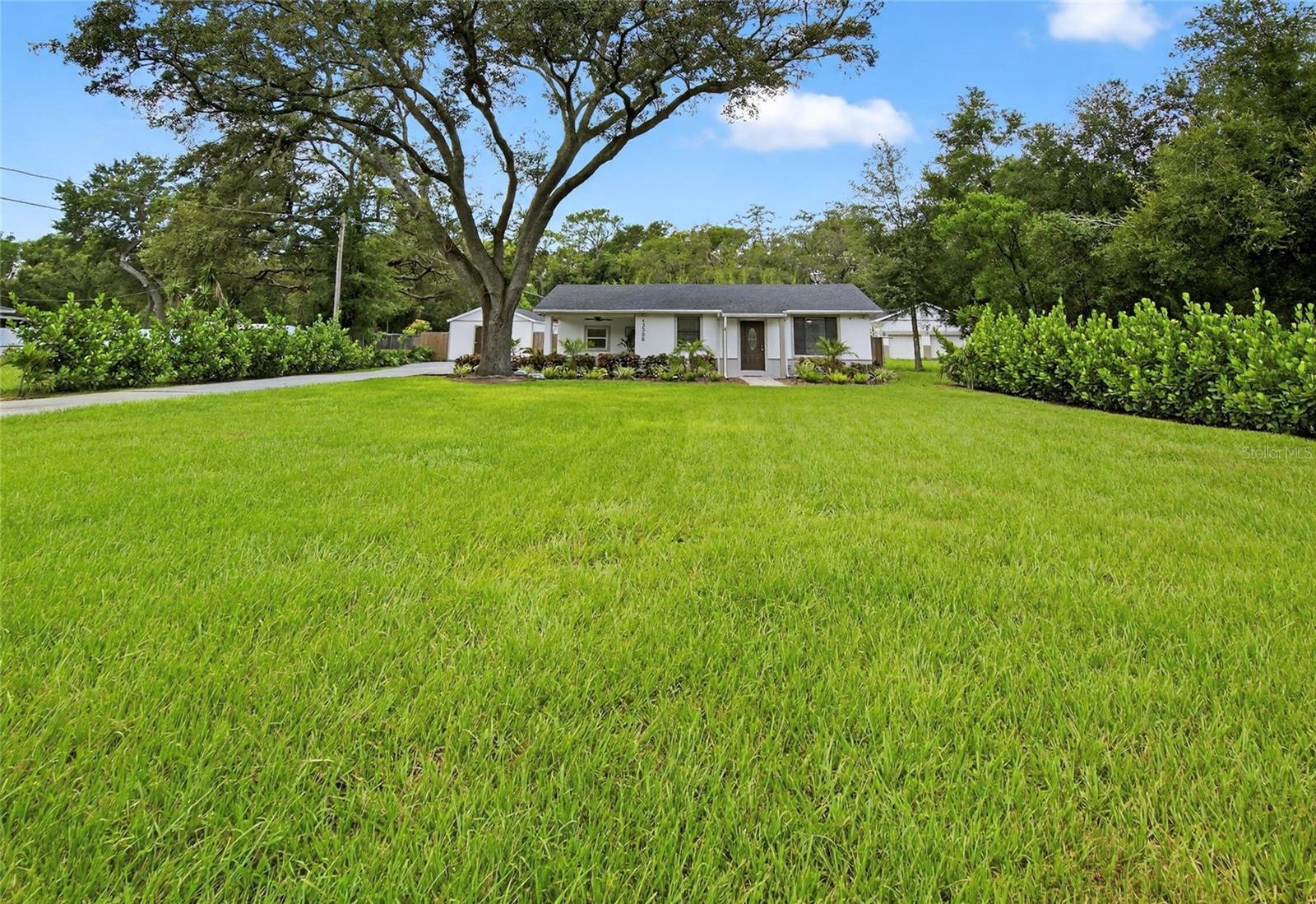HELLO GORGEOUS… That’s exactly what you’ll say the moment you step onto this beautifully remodeled, move-in-ready home tucked away on nearly half an acre in the heart of the charming Temple Terraces community.
Set on a sprawling 0.43-acre fully fenced lot, this 3-bedroom, 2-bath beauty blends modern upgrades with Florida charm. Surrounded by majestic shade trees and tropical fruit—including banana, lemon, lime, peach, plum, and avocado trees—this is your own personal slice of paradise. Want a pool? There’s room. A garden? You bet. A swing set, a fire pit? Go for it.
Inside, you’ll find 1,150 sq ft of heated living space with elegant porcelain and ceramic tile flooring throughout. The open-concept layout connects the stylish kitchen (remodeled in 2022 with hardwood cabinetry, granite counters, and stainless-steel appliances) to the spacious living and dining areas—perfect for hosting dinner parties or just enjoying a quiet night in.
The primary suite is pure indulgence, offering dual closets and a spa-inspired bath with dual sinks, a Jacuzzi tub, and a sleek glass-enclosed shower. Two additional bedrooms are bright and airy, with recessed lighting and beautiful wood-tone ceramic flooring. The second bath is just as updated and chic, featuring a modern vanity and glass-enclosed tile shower.
Upgrades? Too many to list—but here’s a taste: New HVAC, electric, and plumbing (2022), New ductwork, New tankless water heater, New septic tank, New roof with GAF lifetime warranty (2021), New exterior stucco and doors (2022).
And then there’s the 16x22 detached TUFF SHED—fully wired with electricity, windows, and doors. Use it as a pool house, gym, office, man cave, or she-shed. It's versatile, private, and ready for your vision.
When the Florida sunshine calls, head outside to your covered outdoor kitchen and bar, complete with lighting, fans, a fridge, grill, and TV hookup. From morning coffee to evening cocktails, this space was built to entertain.
Best of all? No HOA. Not in a flood zone. And you’re just minutes to USF, Moffitt, the VA, MOSI, and I-275. Downtown Tampa is only 20 minutes away. Approximately 40-minute drive to the beautiful Florida beaches.
This is more than a home—it’s a lifestyle. A rare, turn-key find in Temple Terrace that delivers privacy, upgrades, and endless possibility.
Come fall in love before someone else does!