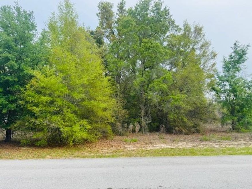 Prime Vacant Lot in Rainbow’s End Estates – Dunnellon, FL

Discover the perfect opportunity to build your dream home on this .44-acre high and dry lot located in the desirable Rainbow’s End Estates community in Dunnellon. This is lot 14 & 15 two buildable lots or one large lot. This spacious parcel offers a peaceful setting with plenty of room for your custom home, outdoor living, and more.

Property Highlights:

Size: 0.44 acres
Buildable: Yes – ready for your new construction
Topography: High and dry (no flood concerns)
HOA: None – enjoy no HOA fees or restrictions
Location: Quiet residential neighborhood
Zoning: Suitable for site-built homes

Conveniently located just minutes from Rainbow Springs State Park, where you can enjoy crystal-clear springs, kayaking, swimming, and scenic nature trails.

Enjoy the charm of Dunnellon living with easy access to outdoor recreation, shopping, and dining, while still maintaining privacy and space.

Whether you're looking to build now or invest for the future, this property offers excellent value and potential.

Offered at: $42,500

Don’t miss this opportunity—secure your piece of Florida land today!