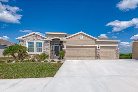 Photo of 5030 Jagged Cloud Drive, Wimauma, FL 33598 (MLS # TB8420726)