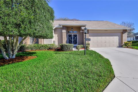Photo of 7443 Willow Brook Drive, Spring Hill, FL 34606 (MLS # W7883210)
