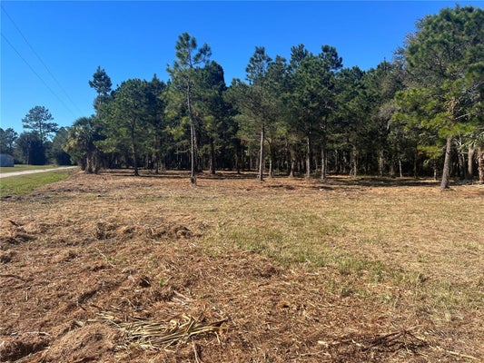 17802 NE US HIGHWAY 301, WALDO, FL 32694 - Image 6d9bd2f1b1e5ee67dc51a3fb51d09d7b/216831883