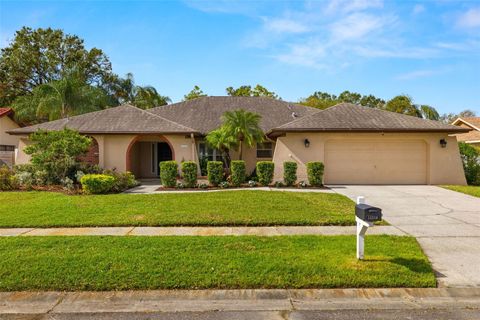 A home in TAMPA