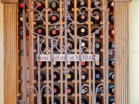 Tiny photo for 32133 Wolf Branch Lane, Sorrento, FL 32776 (MLS # O6374261)