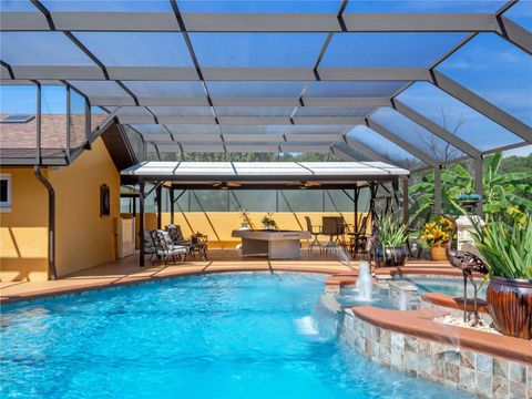 Tiny photo for 32133 Wolf Branch Lane, Sorrento, FL 32776 (MLS # O6374261)