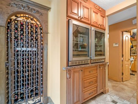 Tiny photo for 32133 Wolf Branch Lane, Sorrento, FL 32776 (MLS # O6374261)