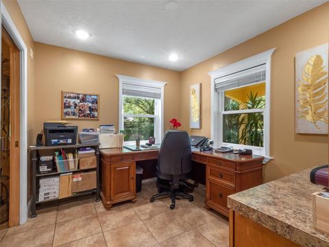 Tiny photo for 32133 Wolf Branch Lane, Sorrento, FL 32776 (MLS # O6374261)