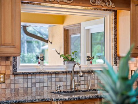 Tiny photo for 32133 Wolf Branch Lane, Sorrento, FL 32776 (MLS # O6374261)