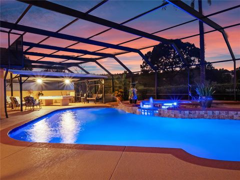 Tiny photo for 32133 Wolf Branch Lane, Sorrento, FL 32776 (MLS # O6374261)