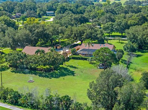 Tiny photo for 32133 Wolf Branch Lane, Sorrento, FL 32776 (MLS # O6374261)