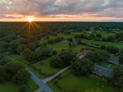 Tiny photo for 32133 Wolf Branch Lane, Sorrento, FL 32776 (MLS # O6374261)