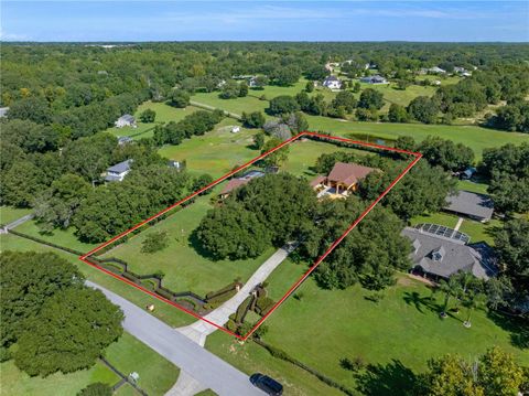 Tiny photo for 32133 Wolf Branch Lane, Sorrento, FL 32776 (MLS # O6374261)