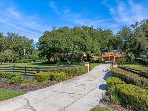 Tiny photo for 32133 Wolf Branch Lane, Sorrento, FL 32776 (MLS # O6374261)