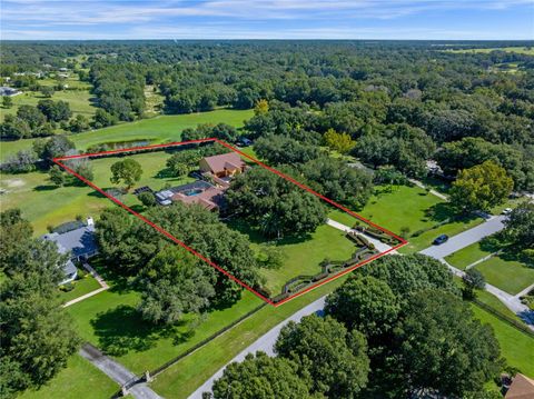 Tiny photo for 32133 Wolf Branch Lane, Sorrento, FL 32776 (MLS # O6374261)