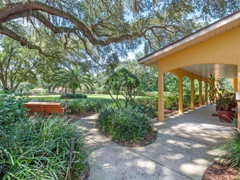 Tiny photo for 32133 Wolf Branch Lane, Sorrento, FL 32776 (MLS # O6374261)