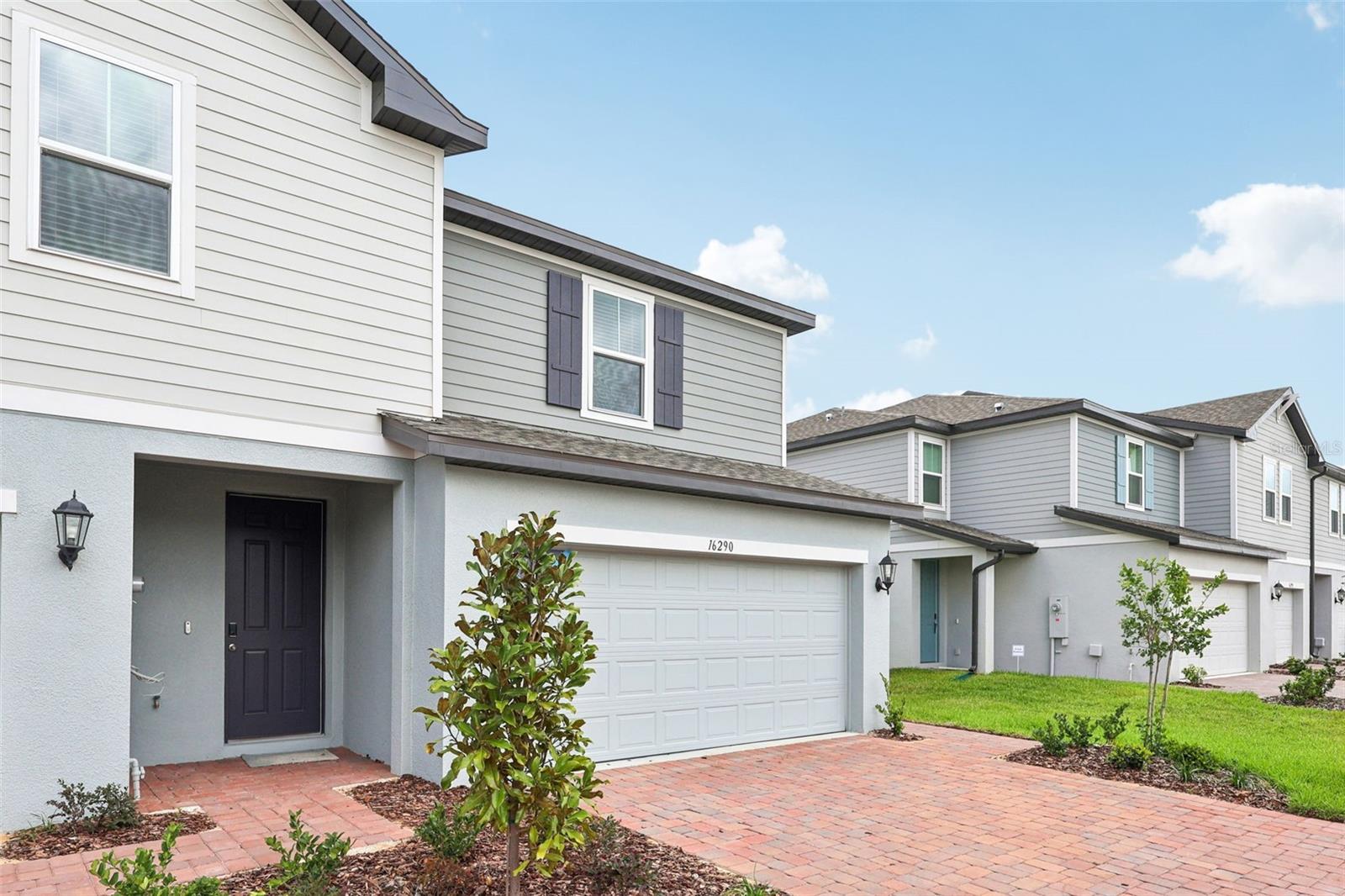 16290 BIRD OF PARADISE