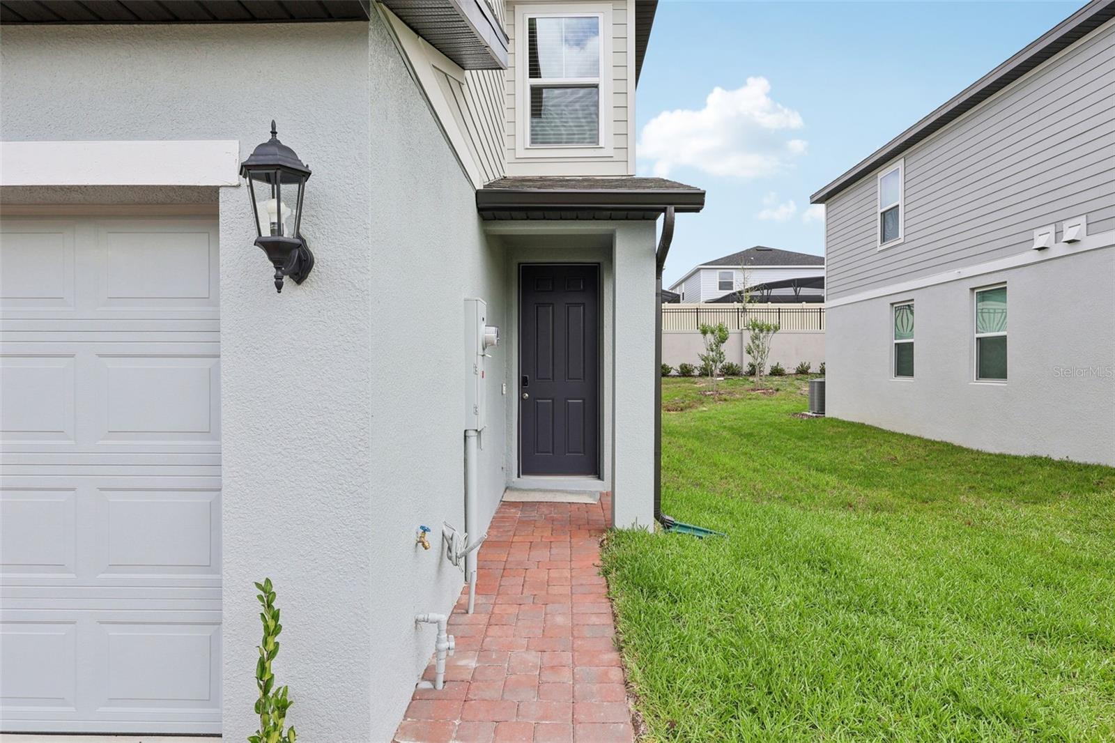 16290 BIRD OF PARADISE