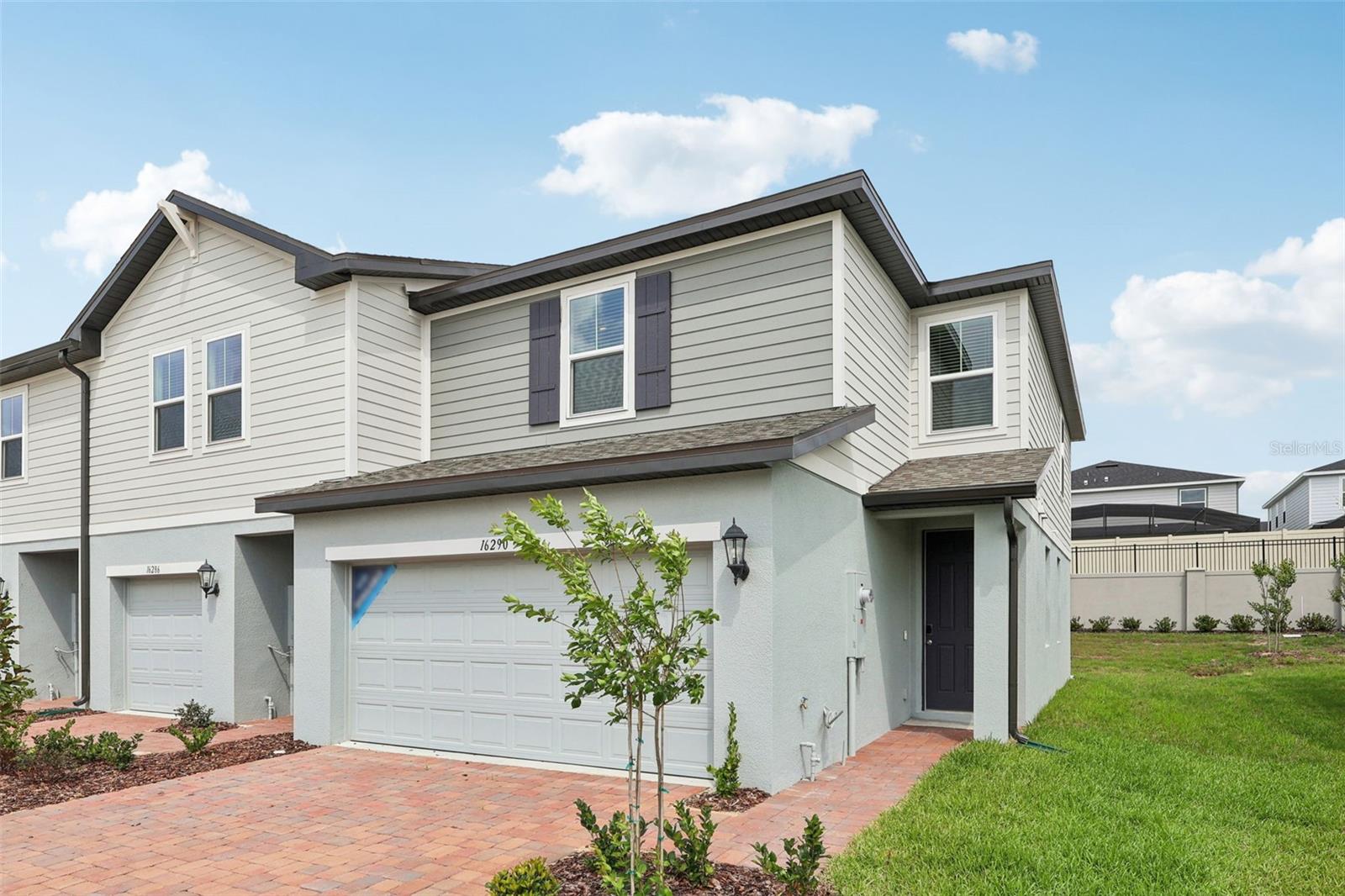 16290 BIRD OF PARADISE