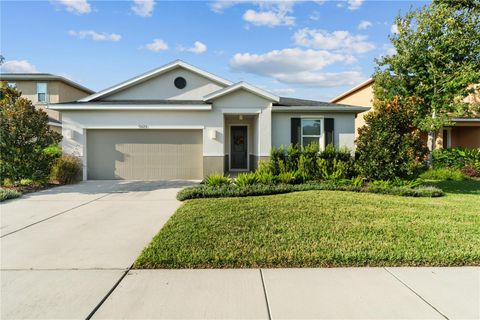 A home in RIVERVIEW