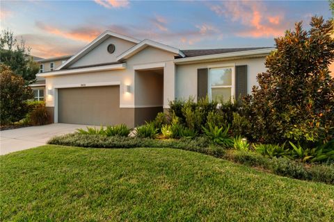 A home in RIVERVIEW