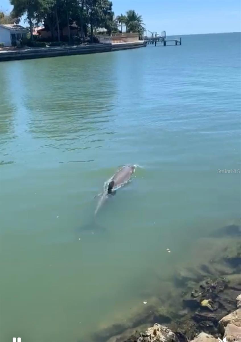 PINELLAS POINT SKYVIEW SHORES 4TH ADD - Residential