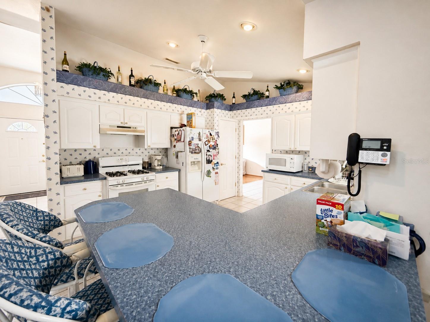 204 LAKE MARIAM COURT