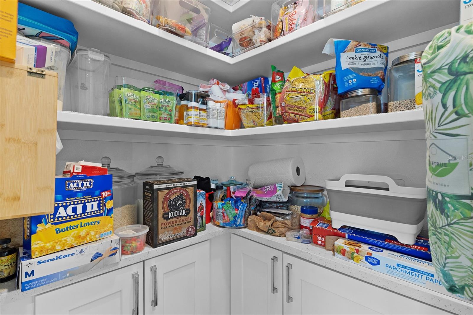 VILLAGES/MINNEOLA HILLS PH 2A - Residential