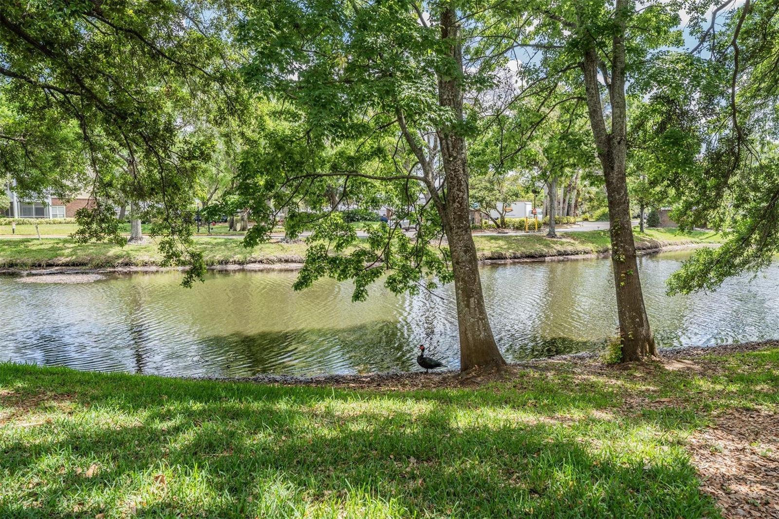 THE LANDINGS OF TAMPA A CONDOM - Residential